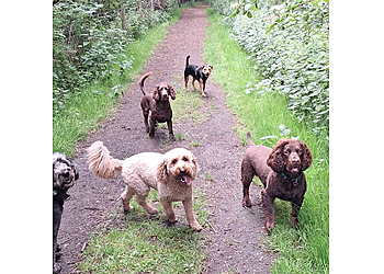 Cookies dog walking services