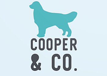 Cooper & Co. Dog Walking