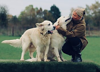 East Riding dog walkers Cooper & Co. Dog Walking  image 1