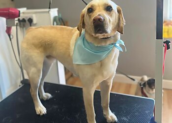 Coopers Cuts Dog Grooming