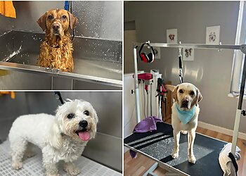 Coopers Cuts Dog Grooming