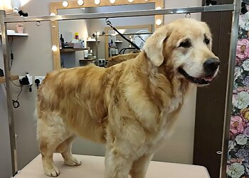 Coopers Dog Grooming Ltd