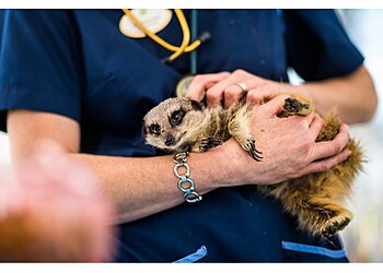 Copeland Veterinary Surgeons