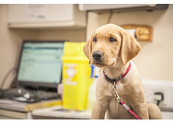 Stockton On Tees vets Copeland Veterinary Surgeons image 1