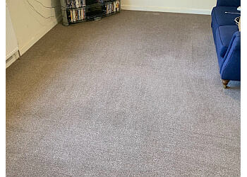 Copper Beech Cleaning