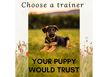 Corryisle Dog Training