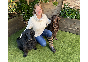 Corryisle Dog Training