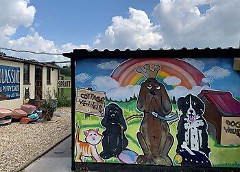 Cottage Kennels & Cattery