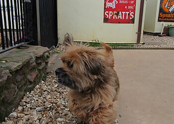Cottage Kennels & Cattery