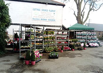 Cottage Stores Florist