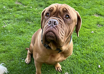 Country Park Boarding Kennels
