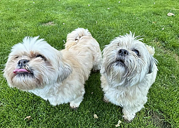 Country Park Boarding Kennels