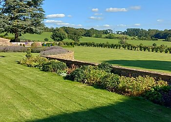 County Lawns and Trees