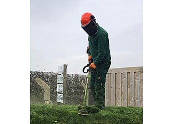 County Lawns and Trees