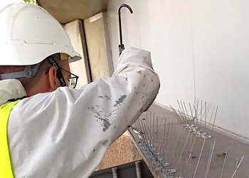 Crest Pest Control Ltd