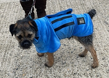 Crostwick Boarding Kennels & Cattery
