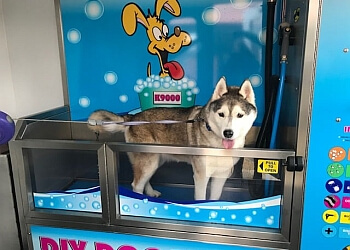 Crostwick Boarding Kennels & Cattery