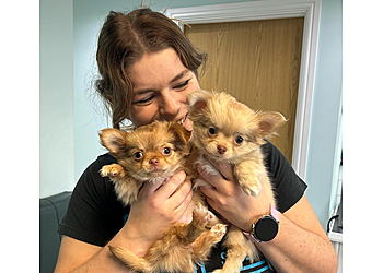 Crouch Vale Veterinary Practice