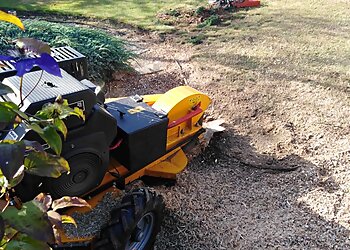 Crown Care Tree Surgeons