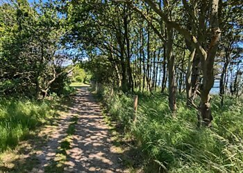 Cudmore Grove Country Park