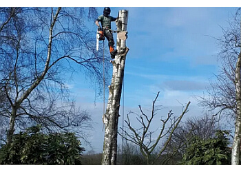 Cut & Clear Tree Services Ltd.