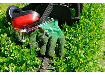 Cut & Clear Tree Services Ltd.