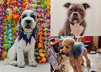 Cute Cuts Dog Grooming