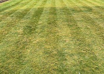 Cutting Edge Garden Maintenance