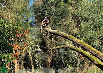 Cutting Edge Tree Care