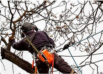 Cutting Edge Tree Services