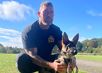 CxG Canine Services