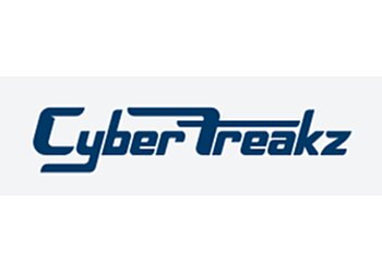 Rhondda Cynon Taff it services Cyber Freakz image 1