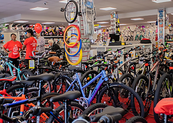 Cycle King Nottingham Cycle King Nottingham