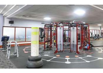 david lloyd warrington prices