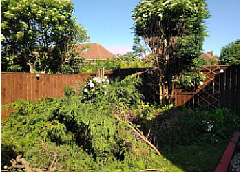 3 Best Lawn Care In Sunderland Uk Expert Recommendations