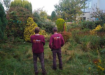 DB Tree and Garden Services