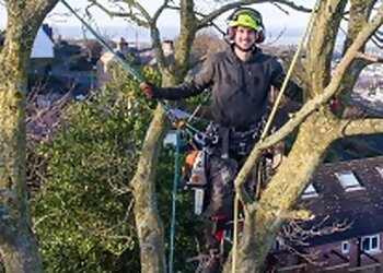 DHJ Tree Surgery