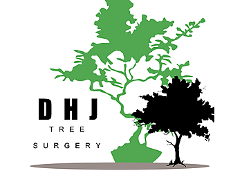 DHJ Tree Surgery