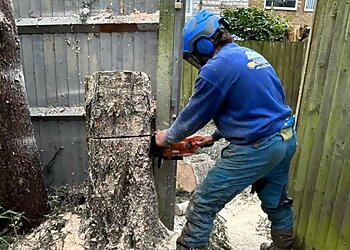 DLH Tree Surgeon & All Clearance