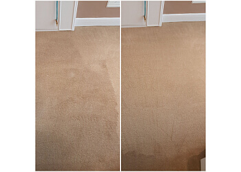DM Carpet Clean