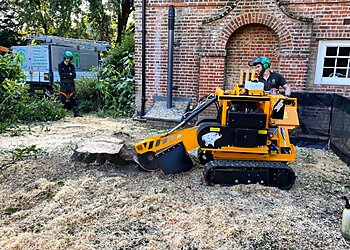 D.Nicholls Arboriculture