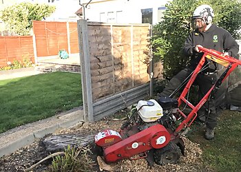 D.Nicholls Arboriculture