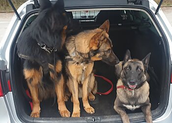 D.O.P.E Dog Training