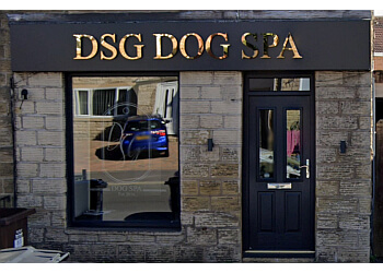 DSG Dog Spa