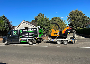DT tree surgeons DT tree surgeons