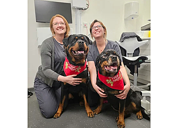 DWR Veterinary Specialists