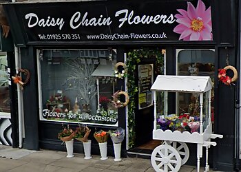 Daisy Chain Flowers