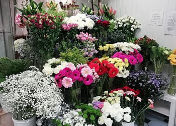 Daisys Flower Boutique