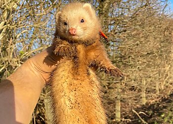 Daleside Pest Control