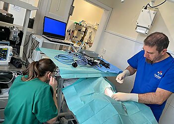 Daleside Veterinary Group